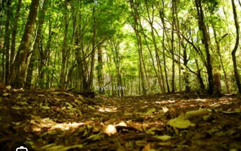 Kuala Langat, Banting, 42700, Selangor - 1