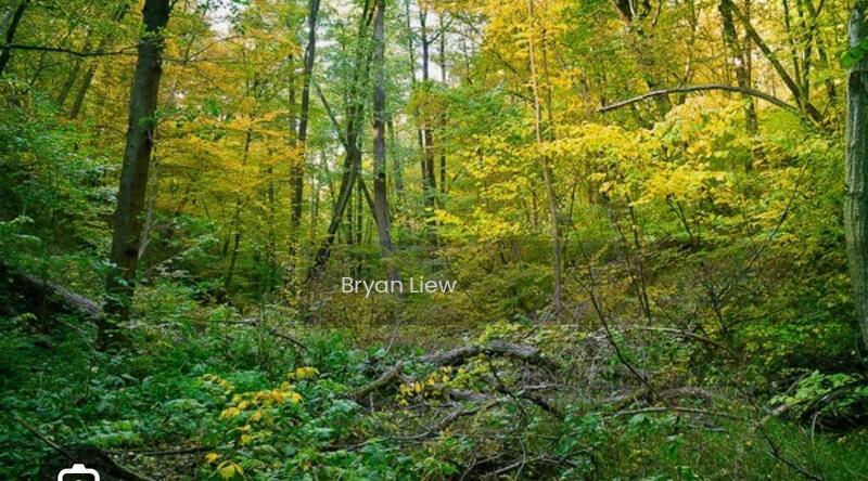 Kuala Langat, Banting, 42700, Selangor - 5