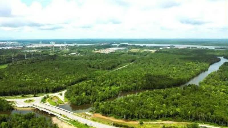 Forest City @ Gelang Patah Medium Industrial Land for sale - 1