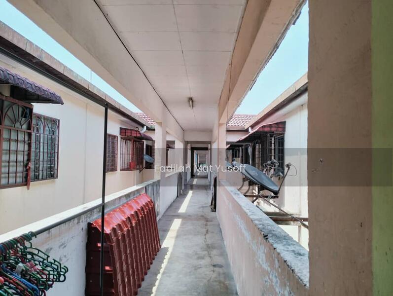 Beringin - 5