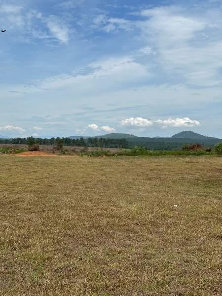 Kulai Industrial Land - 3