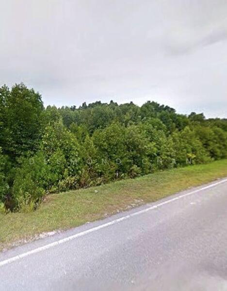 Gelang Patah Gelang Patahs - 4