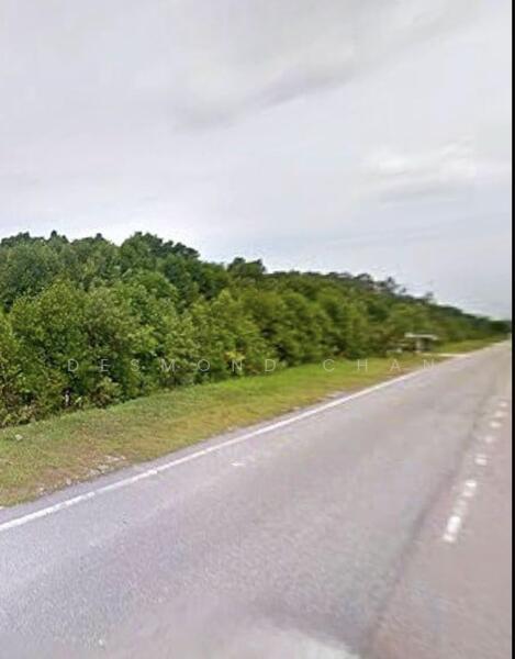 Gelang Patah Gelang Patahs - 5