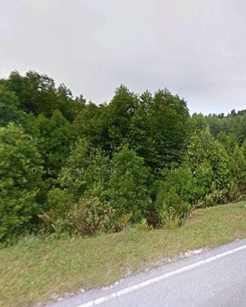 Gelang Patah Gelang Patahs - 2