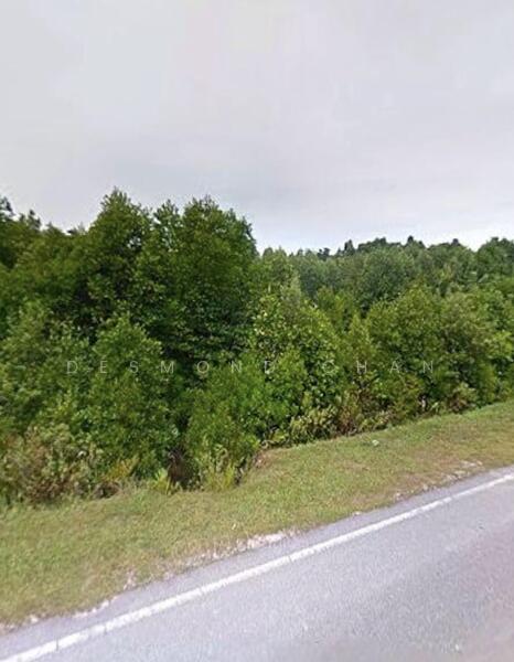 Gelang Patah Gelang Patahs - 3