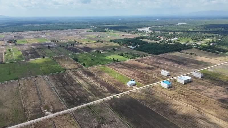 Mersing 8.79 Acres Land - 1