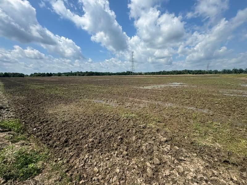 Mersing 8.79 Acres Land - 4