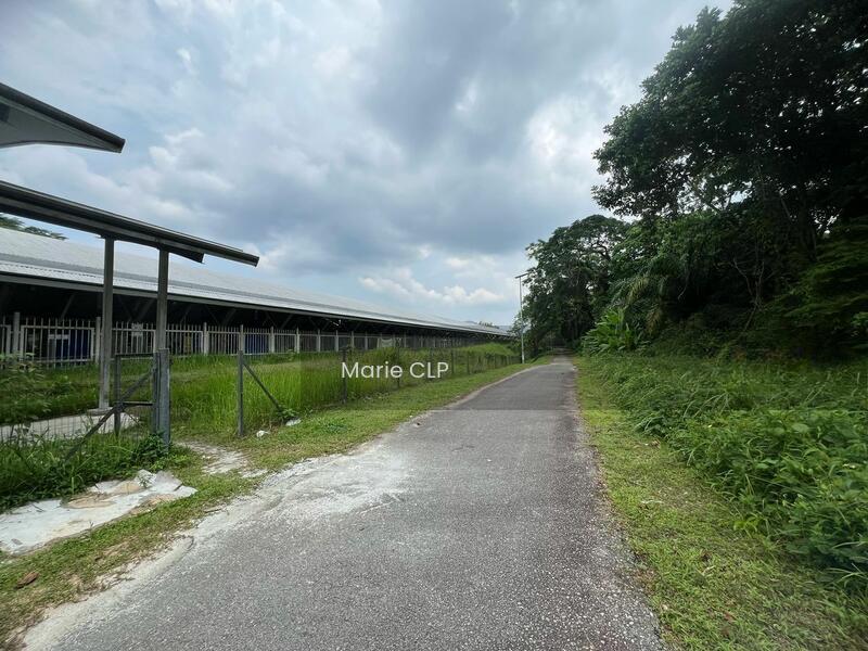 Residential land at Taman Keruing - 2