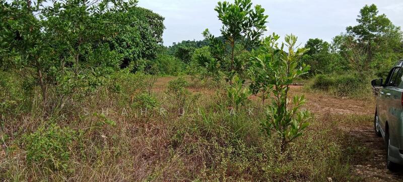 Tanah Lot Banglo Sungai Merab - 5