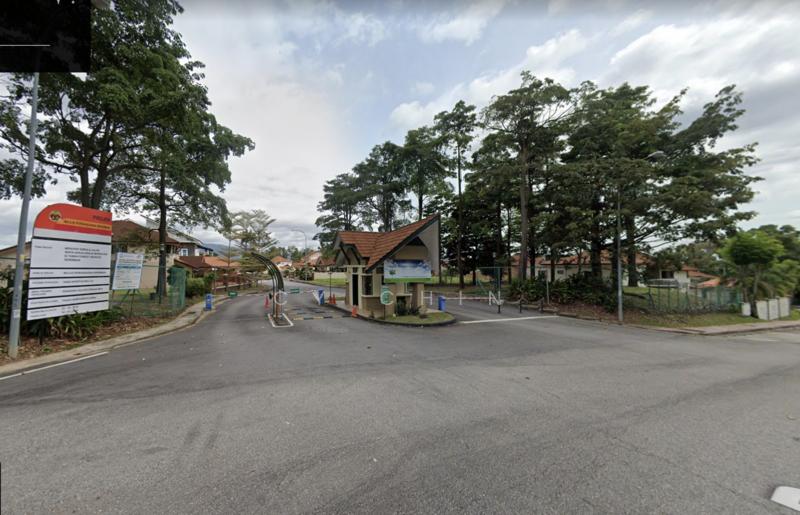 Forest heights - 3