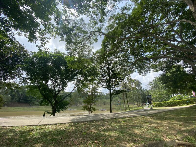 Forest heights - 5