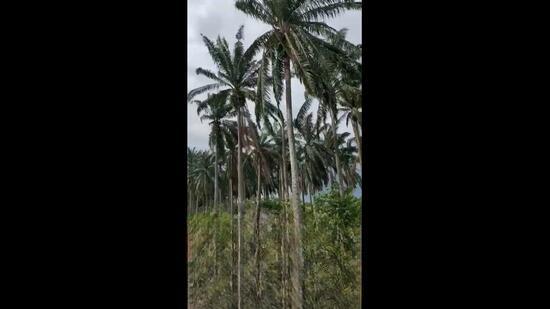 Sendayan Techvalley, Seremban - 3