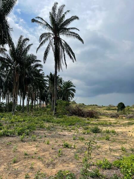 Sendayan Techvalley, Seremban - 1