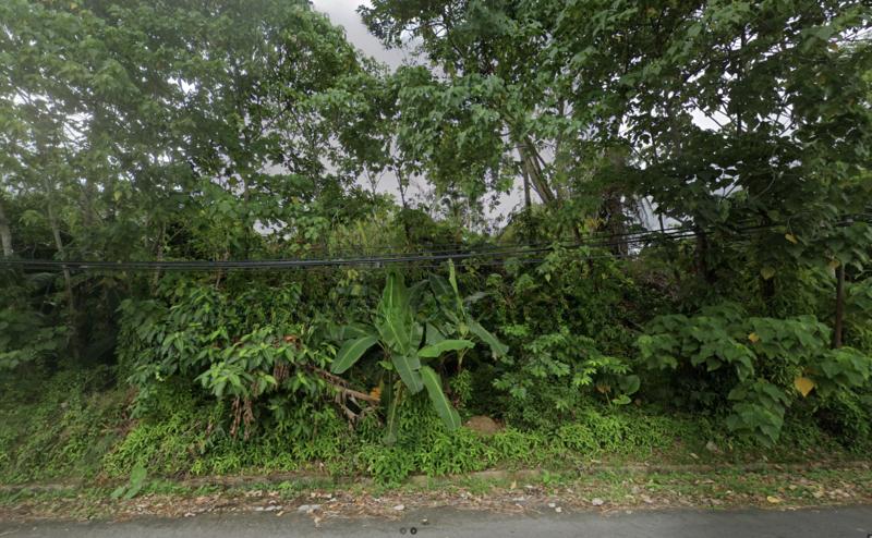 Agricultural Land @ Labuan Kampung Kerupang - 1