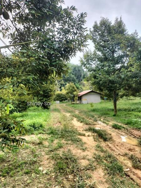 Kampung Baru Tras, Sang Lee, Raub, Tras, Bentong - 5