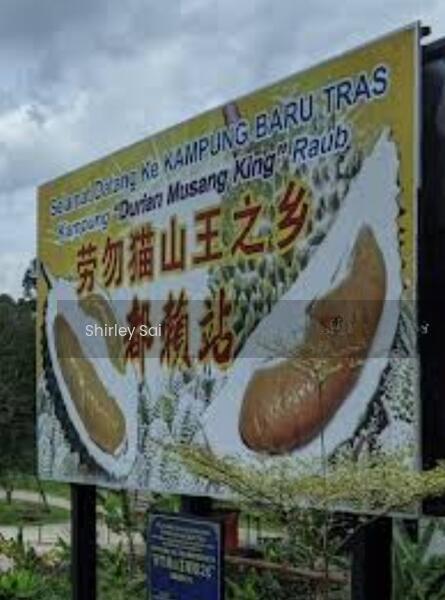 Kampung Baru Tras, Sang Lee, Raub, Tras, Bentong - 1