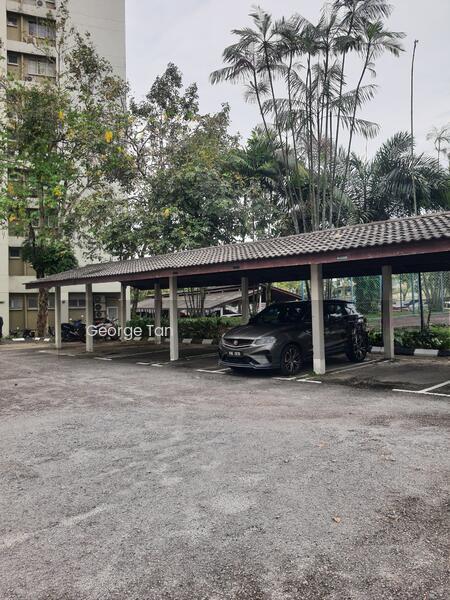 Seri Hijauan - 5
