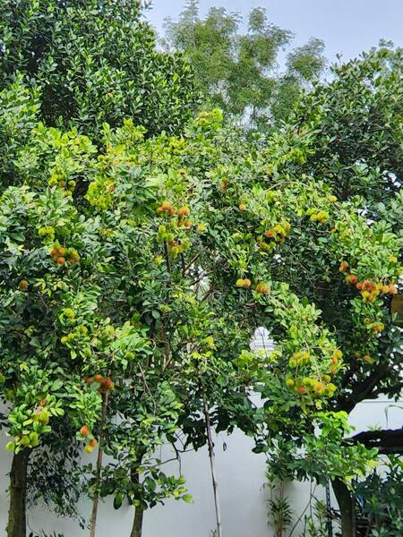 Section 6 @ Kota Damansara - 4