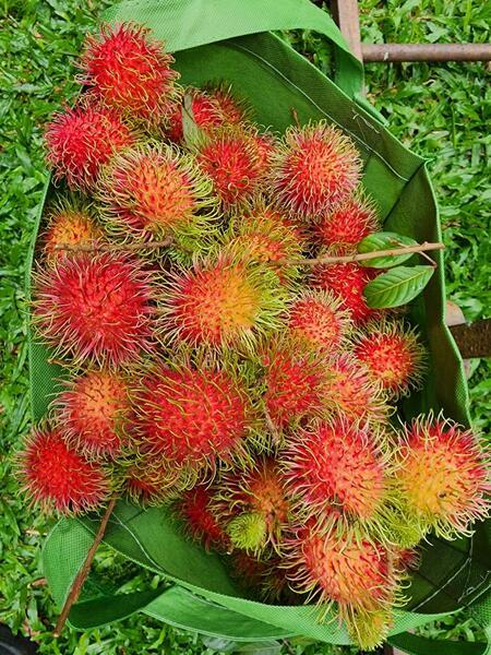 Section 6 @ Kota Damansara - 3