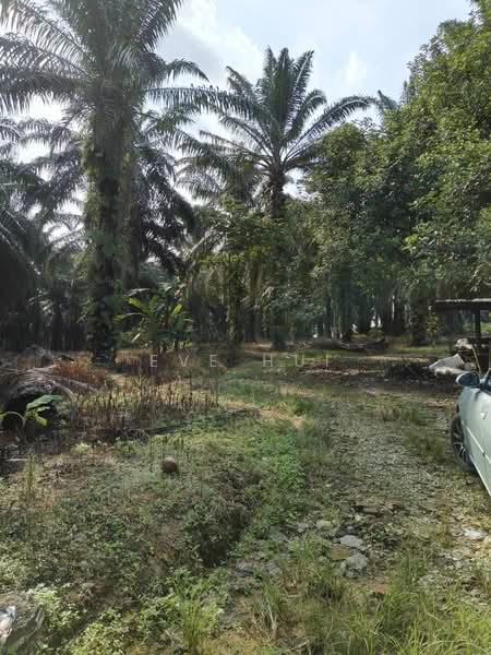 Plentong Plentongs Plentongs - 1