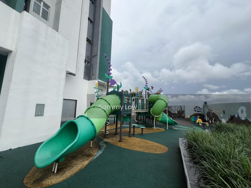 Molek Pulai - 5