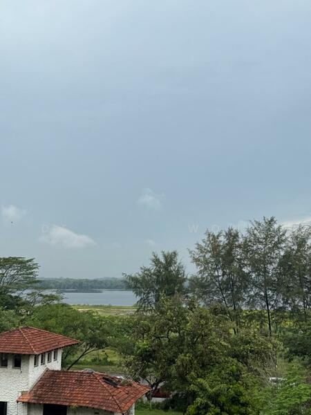 Straits View - 4