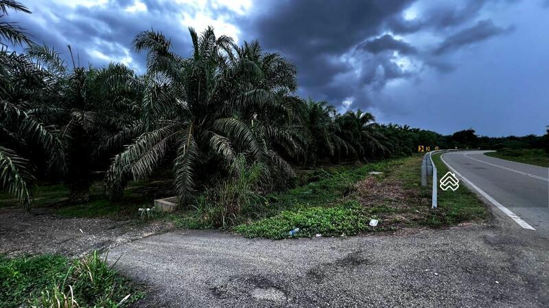 Agriculture land at Segamat - 3