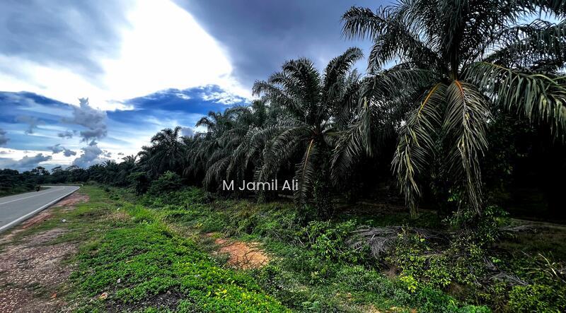 Agriculture land at Segamat - 1