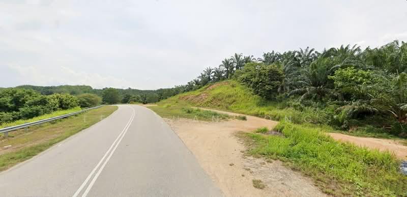 20.19 acre | Palm oil Plantation | Kuala Kangsar | Perak | for SALES | RM3.10 psf - 3