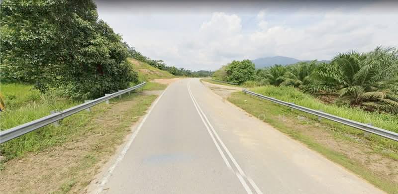 20.19 acre | Palm oil Plantation | Kuala Kangsar | Perak | for SALES | RM3.10 psf - 2