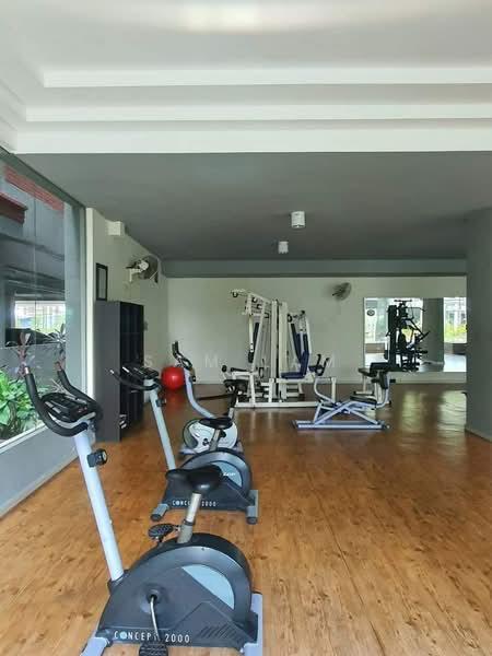 Damaipuri - 3