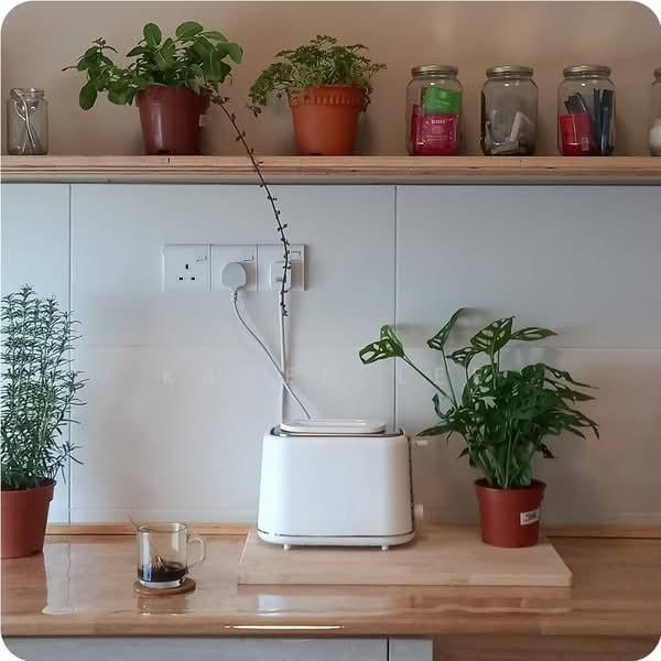 Aspira LakeHomes - 4