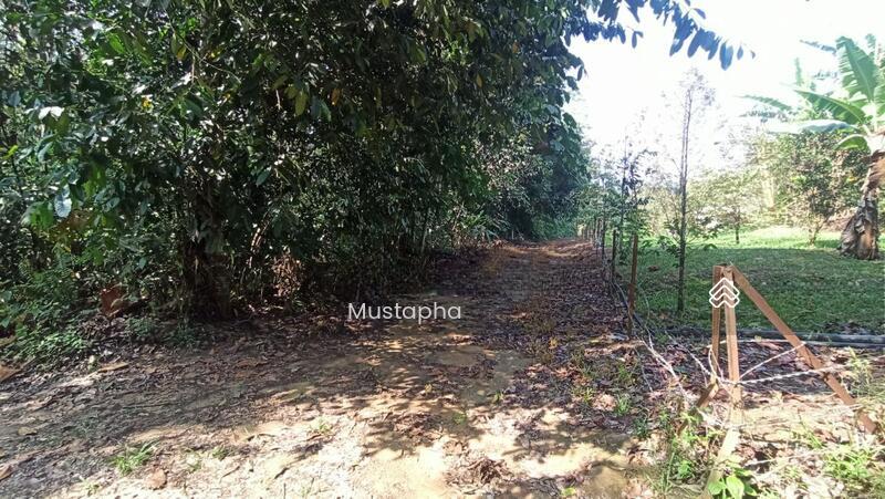 Jalan Sungai Lui Hulu Langat - 5