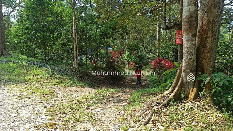 Jalan Sungai Lui Hulu Langat - 1