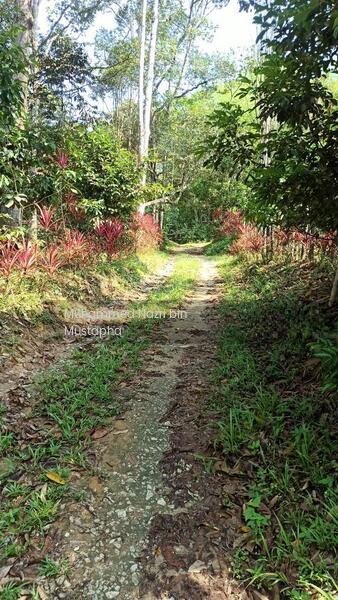 Jalan Sungai Lui Hulu Langat - 2