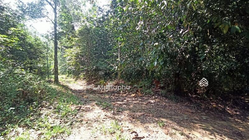 Jalan Sungai Lui Hulu Langat - 4