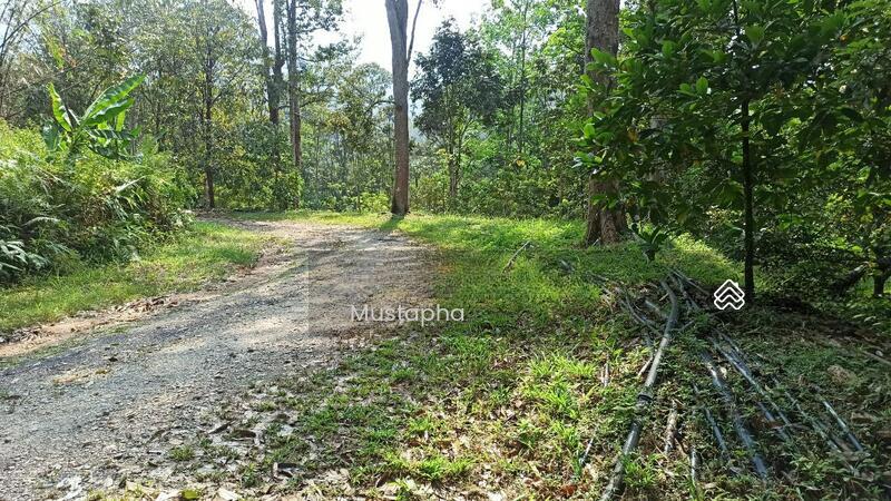 Jalan Sungai Lui Hulu Langat - 3