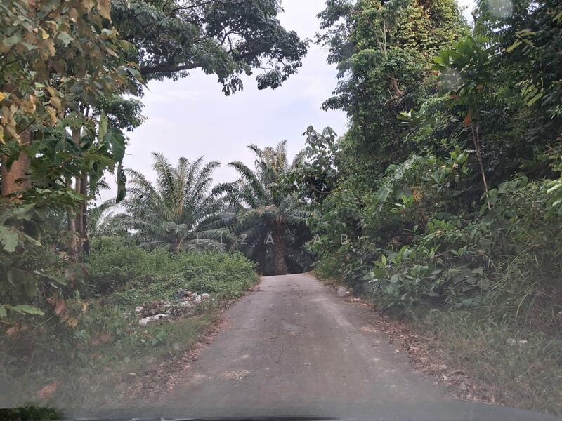 Lukut - 5