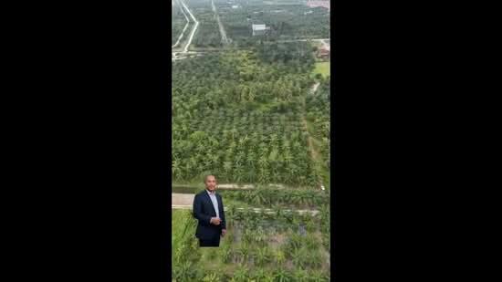 Tanah Pertanian Jalan Awanah Kuala Selangor - 3