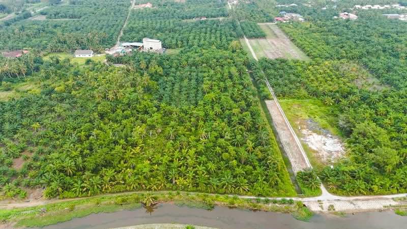 Tanah Pertanian Jalan Awanah Kuala Selangor - 4