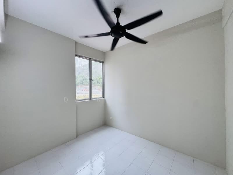 Kingfisher Series - 3