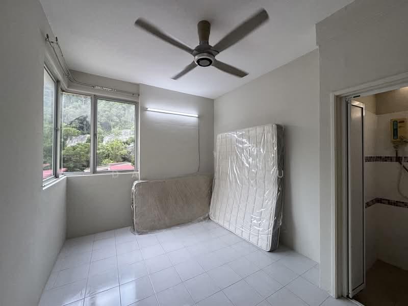 Kingfisher Series - 4