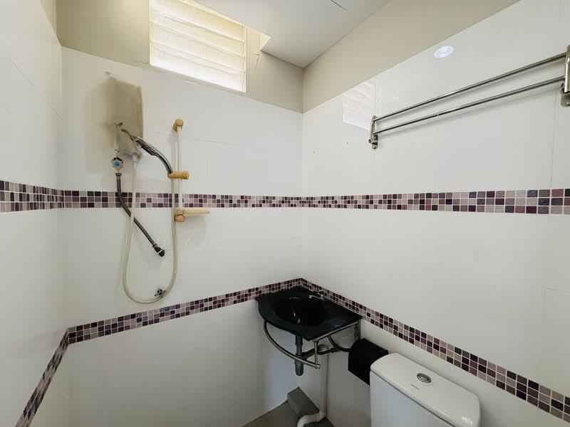 Kingfisher Series - 5