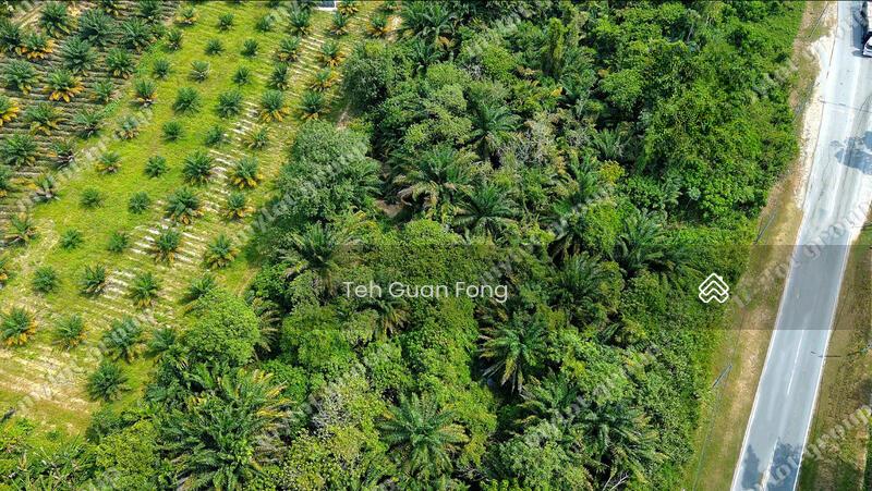 4.58 acres | Road Side | Residential Land | Junjong | Kedah 27 psf - 5