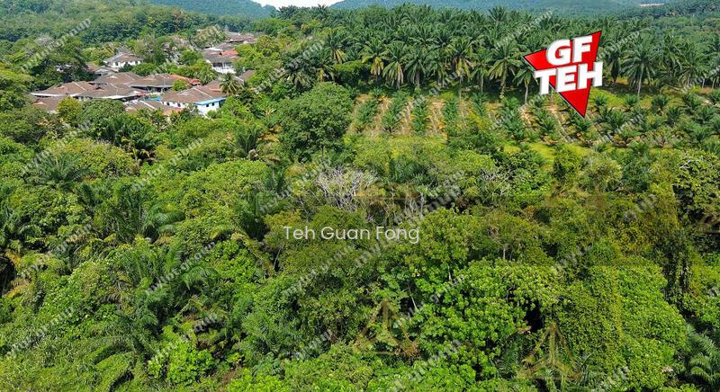 4.58 acres | Road Side | Residential Land | Junjong | Kedah 27 psf - 1