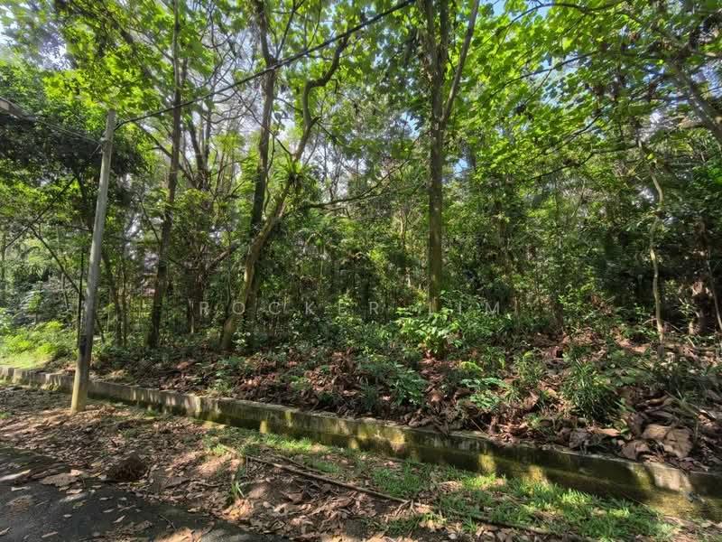 Jalan Strait View Banglow Land - 2