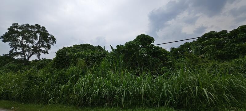 Taman Subang Kristal - 5