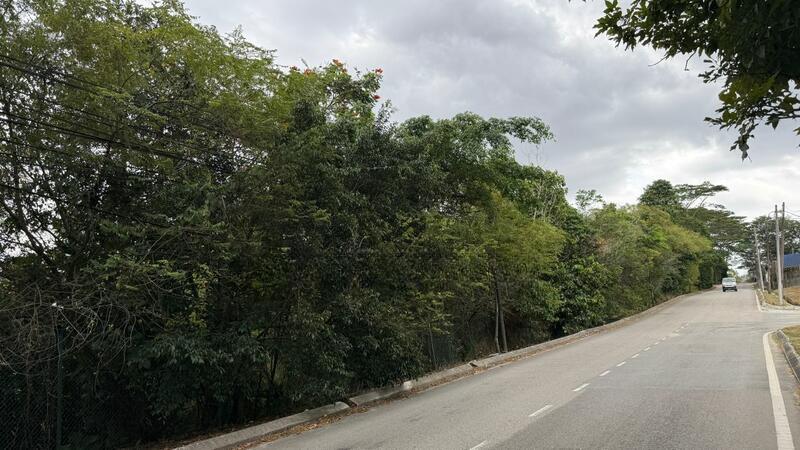 Jalan Hasil @ Johor 13.5 Acres(2 Lots)Industrial Land For Sale - 3