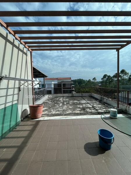 Cassia - 4