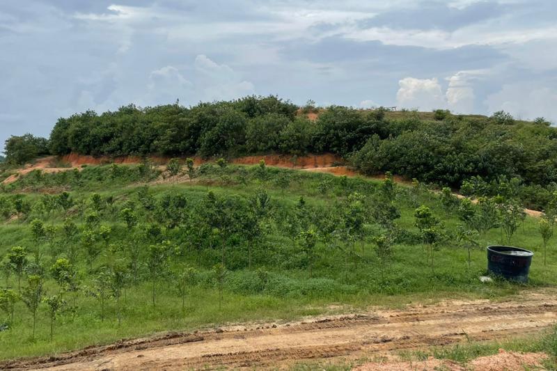 Seelong Agricultural Land - 2